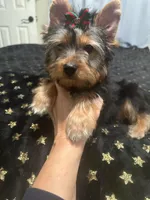 processed/3c2d4828-f6ab-480f-9ec4-4819837b9acb/listing/dd13ee8f-1b26-446f-b201-ab92af917669/21cc2c32-3937-4974-8055-62d19ae4472a