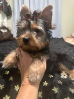 processed/3c2d4828-f6ab-480f-9ec4-4819837b9acb/listing/dd13ee8f-1b26-446f-b201-ab92af917669/7fd51ba5-f87c-455e-9e71-2d389ae23b42