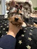 processed/3c2d4828-f6ab-480f-9ec4-4819837b9acb/listing/dd13ee8f-1b26-446f-b201-ab92af917669/95997261-b65d-4818-89f3-3576ec7570bd