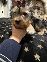 processed/3c2d4828-f6ab-480f-9ec4-4819837b9acb/listing/dd13ee8f-1b26-446f-b201-ab92af917669/9af620de-c946-4f7d-b810-c3c5fae1c1c3