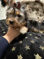 processed/3c2d4828-f6ab-480f-9ec4-4819837b9acb/listing/dd13ee8f-1b26-446f-b201-ab92af917669/c4f08651-c953-4e79-94fb-5cea5140e897