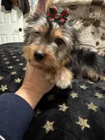 processed/3c2d4828-f6ab-480f-9ec4-4819837b9acb/listing/dd13ee8f-1b26-446f-b201-ab92af917669/d5a8c0a3-46ef-4332-845b-fc4b02e3aaa8