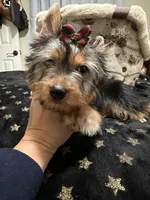 processed/3c2d4828-f6ab-480f-9ec4-4819837b9acb/listing/dd13ee8f-1b26-446f-b201-ab92af917669/f6d2ddc8-105b-4512-b637-4b69a6efbce0