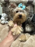 processed/3c2d4828-f6ab-480f-9ec4-4819837b9acb/listing/dded5afe-7374-4a3e-8d06-41526d967605/1d7e206a-b5e7-40c1-8cb7-4247a718d997