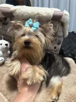 processed/3c2d4828-f6ab-480f-9ec4-4819837b9acb/listing/dded5afe-7374-4a3e-8d06-41526d967605/2fe4c3f0-97c2-424b-9412-77cca533440e