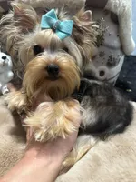 processed/3c2d4828-f6ab-480f-9ec4-4819837b9acb/listing/dded5afe-7374-4a3e-8d06-41526d967605/7f3b27c8-efff-4a1a-8755-ae5ecce7fc71