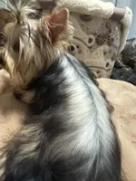 processed/3c2d4828-f6ab-480f-9ec4-4819837b9acb/listing/dded5afe-7374-4a3e-8d06-41526d967605/8b0d4f33-4d72-4b99-98ad-436e8265a526