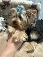 processed/3c2d4828-f6ab-480f-9ec4-4819837b9acb/listing/dded5afe-7374-4a3e-8d06-41526d967605/91069ff2-8d04-460b-a5dd-57968e40915e