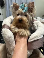 processed/3c2d4828-f6ab-480f-9ec4-4819837b9acb/listing/dded5afe-7374-4a3e-8d06-41526d967605/bb3acc9d-7e16-4a2c-95f3-f9c32a02ce69