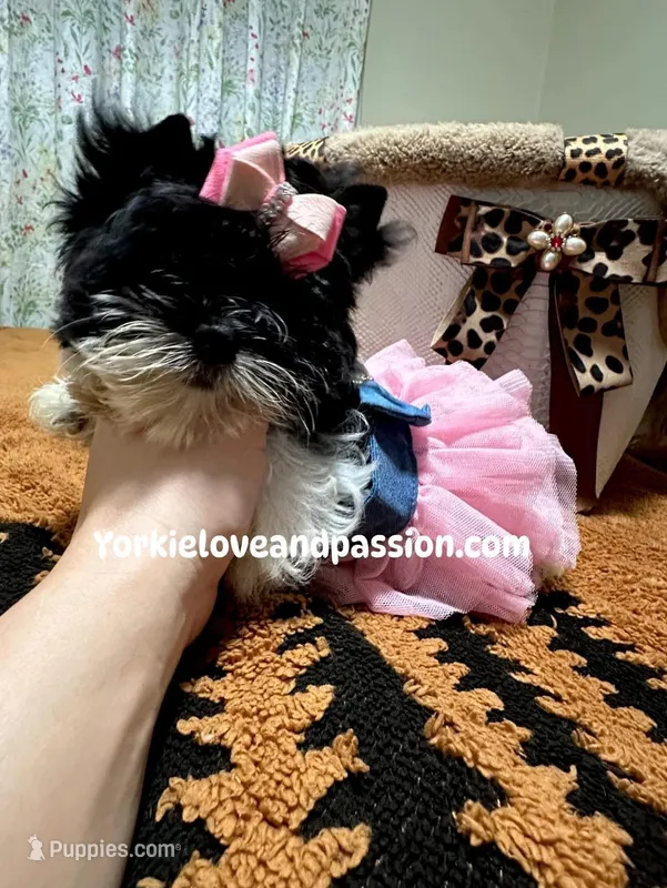 Black and white female 