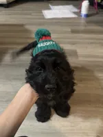 processed/3c2df5b8-e6d9-4052-8e6e-1eda46ee5f65/listing/567c9367-27f3-4b6f-a116-6663bc9ede8b/8bee1abe-39bb-4edc-98d3-9ce6e2d513f8