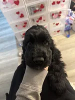 processed/3c2df5b8-e6d9-4052-8e6e-1eda46ee5f65/listing/567c9367-27f3-4b6f-a116-6663bc9ede8b/8e4323aa-07e1-4e01-b9b8-59b6df55bdd0