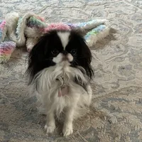 processed/3c4ae855-7cc8-4127-8f5e-6254c41b1f41/facility/0f3b0af4-685c-4202-b02a-3e6f536c433e