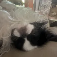 processed/3c4ae855-7cc8-4127-8f5e-6254c41b1f41/facility/2a152059-213e-44fb-9835-e00eb8c5ab75