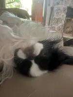 processed/3c4ae855-7cc8-4127-8f5e-6254c41b1f41/facility/2a152059-213e-44fb-9835-e00eb8c5ab75