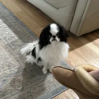 processed/3c4ae855-7cc8-4127-8f5e-6254c41b1f41/facility/4a443866-ed25-4171-8305-06f741e54ea2