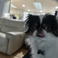 processed/3c4ae855-7cc8-4127-8f5e-6254c41b1f41/facility/4ab11e7f-e94e-4848-9e5c-133cc1de51d4