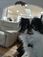 processed/3c4ae855-7cc8-4127-8f5e-6254c41b1f41/facility/4ab11e7f-e94e-4848-9e5c-133cc1de51d4