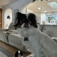 processed/3c4ae855-7cc8-4127-8f5e-6254c41b1f41/facility/ac24a6ba-209a-4510-b611-afcc066dd699