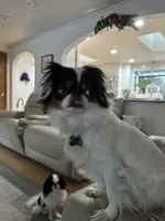 processed/3c4ae855-7cc8-4127-8f5e-6254c41b1f41/facility/ac24a6ba-209a-4510-b611-afcc066dd699