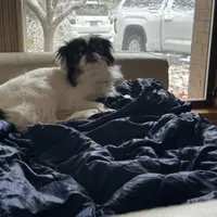 processed/3c4ae855-7cc8-4127-8f5e-6254c41b1f41/facility/c824a814-5f8e-4412-99b7-ed57b537d61d