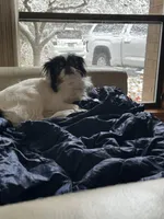 processed/3c4ae855-7cc8-4127-8f5e-6254c41b1f41/facility/c824a814-5f8e-4412-99b7-ed57b537d61d