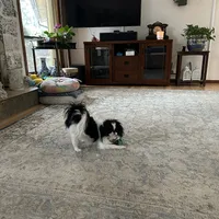 processed/3c4ae855-7cc8-4127-8f5e-6254c41b1f41/facility/cabd6ec8-ec4c-41f4-8d4f-0856383316a7