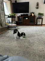 processed/3c4ae855-7cc8-4127-8f5e-6254c41b1f41/facility/cabd6ec8-ec4c-41f4-8d4f-0856383316a7