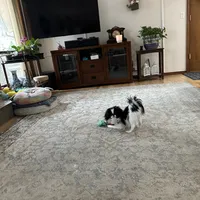 processed/3c4ae855-7cc8-4127-8f5e-6254c41b1f41/facility/d552a72a-9dd8-4e7f-8792-1af074796847