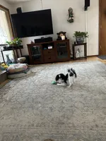 processed/3c4ae855-7cc8-4127-8f5e-6254c41b1f41/facility/d552a72a-9dd8-4e7f-8792-1af074796847