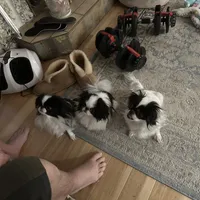 processed/3c4ae855-7cc8-4127-8f5e-6254c41b1f41/facility/de4f454e-863d-40b5-a506-608642cf8899