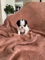 processed/3c4ae855-7cc8-4127-8f5e-6254c41b1f41/listing/8b66eecb-b96f-4e60-b14f-d892482a822b/7a7540bb-e5a2-4c34-b8f0-b28eaebd844c