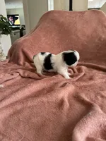 processed/3c4ae855-7cc8-4127-8f5e-6254c41b1f41/listing/8b66eecb-b96f-4e60-b14f-d892482a822b/85fbdb21-4e50-4c2a-b27d-fa3711ef8d0d