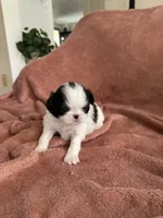 processed/3c4ae855-7cc8-4127-8f5e-6254c41b1f41/listing/8b66eecb-b96f-4e60-b14f-d892482a822b/fa514587-1524-4710-b9dc-af73cb77fff2