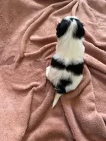 processed/3c4ae855-7cc8-4127-8f5e-6254c41b1f41/listing/8b66eecb-b96f-4e60-b14f-d892482a822b/fce5915e-2d99-420c-8784-0fe04c3f90e0