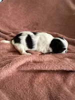 processed/3c4ae855-7cc8-4127-8f5e-6254c41b1f41/listing/f0de8bc2-0630-4ea3-8c49-b8022fa28e38/2179a282-418a-4e7e-983e-e705e1547743