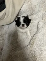 processed/3c4ae855-7cc8-4127-8f5e-6254c41b1f41/listing/f0de8bc2-0630-4ea3-8c49-b8022fa28e38/4cdd0cac-bdbd-4eac-a67d-b5e545a577f8