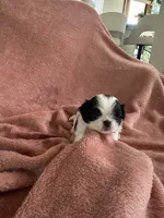 processed/3c4ae855-7cc8-4127-8f5e-6254c41b1f41/listing/f0de8bc2-0630-4ea3-8c49-b8022fa28e38/4e2ba07e-043a-4231-bfe5-0334dbbb398b