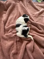 processed/3c4ae855-7cc8-4127-8f5e-6254c41b1f41/listing/f0de8bc2-0630-4ea3-8c49-b8022fa28e38/592ba4d5-bc64-4cb4-9234-1d57fb72d210