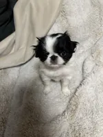 processed/3c4ae855-7cc8-4127-8f5e-6254c41b1f41/listing/f0de8bc2-0630-4ea3-8c49-b8022fa28e38/7f98bd2d-9289-4763-88d9-8c10aad4e2a8