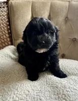 processed/3c5c06cc-e534-42ab-8d45-aae699936ed4/listing/64f90def-9722-4089-b965-8af5c1fe36c6/7708beef-fd7d-4b05-9e77-66fb735bc3bd