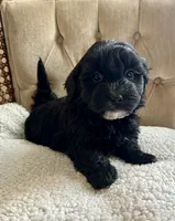 processed/3c5c06cc-e534-42ab-8d45-aae699936ed4/listing/64f90def-9722-4089-b965-8af5c1fe36c6/7897156d-2e28-4799-ae5e-55fac4b48b01