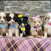 processed/3c5ee987-9226-412d-a171-11b53015e434/facility/03100d2a-354e-4fca-a08f-afb0aa553067