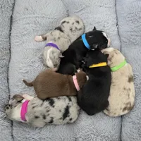 processed/3c5ee987-9226-412d-a171-11b53015e434/facility/048bce3f-1d66-40bc-97b6-19d39909dd91