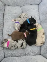 processed/3c5ee987-9226-412d-a171-11b53015e434/facility/048bce3f-1d66-40bc-97b6-19d39909dd91