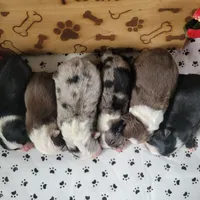 processed/3c5ee987-9226-412d-a171-11b53015e434/facility/0ae964a7-74cf-43b4-884d-b037b6cdf423