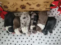 processed/3c5ee987-9226-412d-a171-11b53015e434/facility/0ae964a7-74cf-43b4-884d-b037b6cdf423