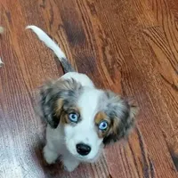 processed/3c5ee987-9226-412d-a171-11b53015e434/facility/9e866609-2729-4032-b08c-b37da716298f