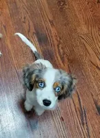 processed/3c5ee987-9226-412d-a171-11b53015e434/facility/9e866609-2729-4032-b08c-b37da716298f