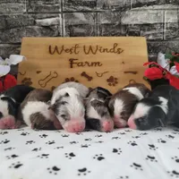 processed/3c5ee987-9226-412d-a171-11b53015e434/facility/a31ef575-592d-4c6d-b0b3-4bd1b8121fe1